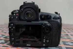 stock
