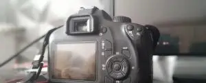 stock