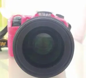stock