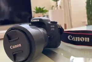 stock
