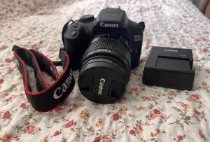 stock