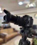 دوربین کانن 7D Mark II بدنه دست دوم