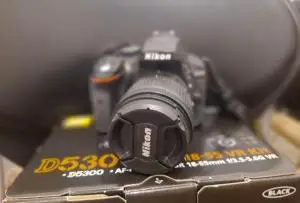 stock