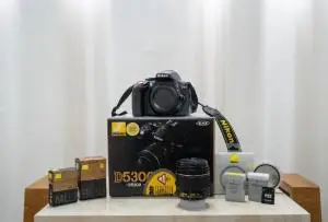 stock