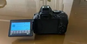 stock