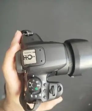 stock