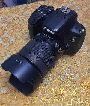 stock