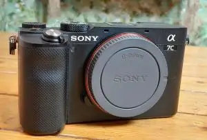 stock