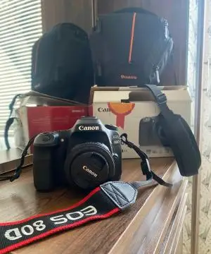stock