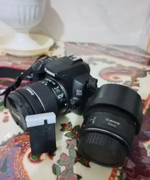 stock
