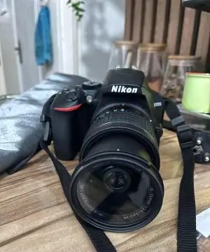 stock