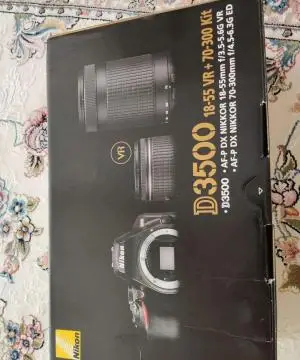 stock