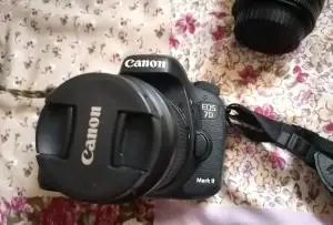 stock