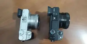 stock