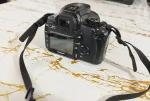 stock