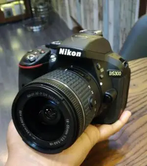 stock