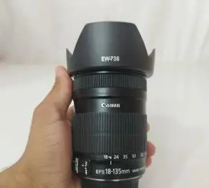 stock