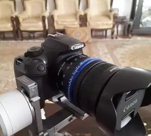 stock