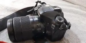stock