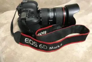 stock