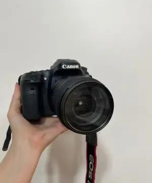 stock