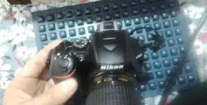 stock