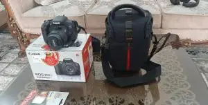 stock