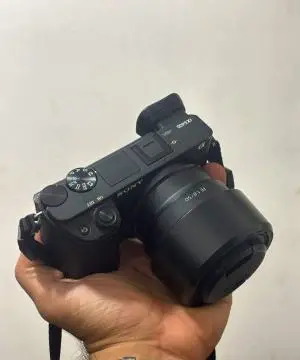 stock