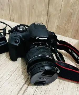 stock