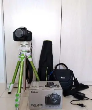 stock