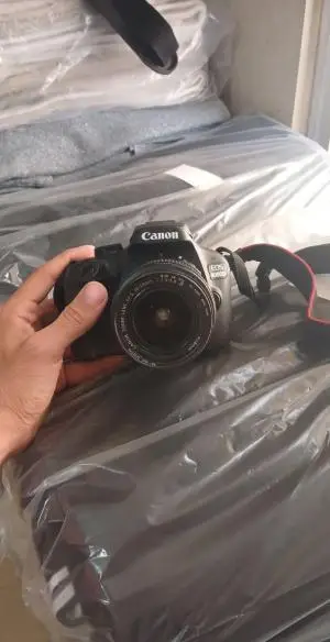 stock