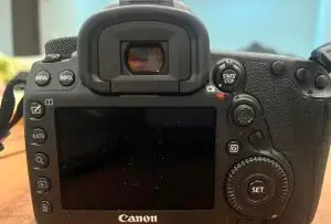 stock