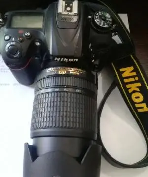 stock