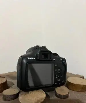 stock