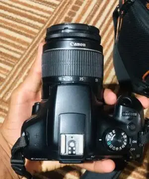 stock
