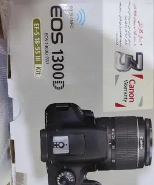 stock