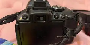 stock