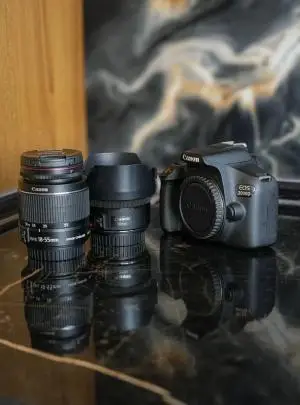 stock