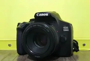 stock