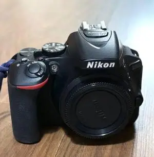 stock