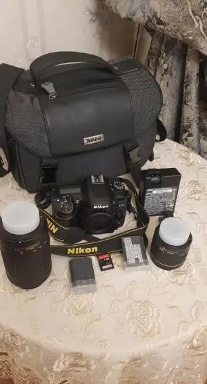 stock