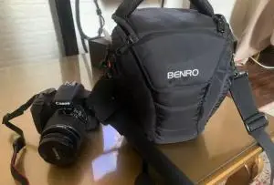 stock