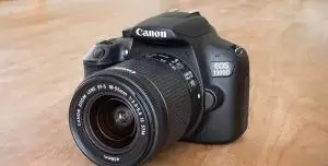 stock