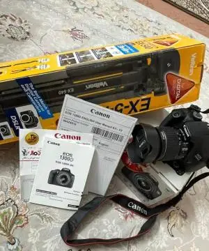 stock