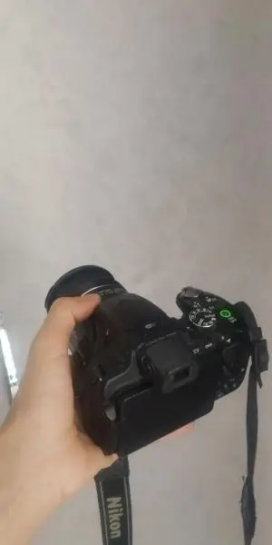 stock