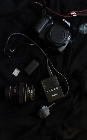 stock