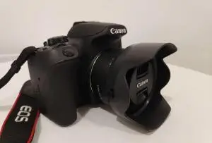 stock