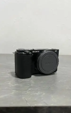 stock