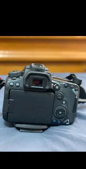 stock