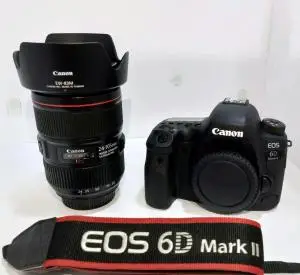 stock